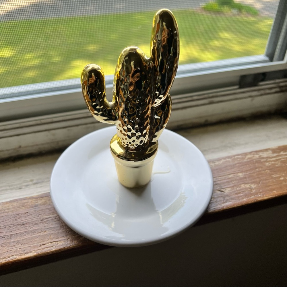 Cactus Accessories Holder